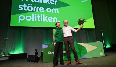 Plötsligt skymtade jag ett annat Miljöparti