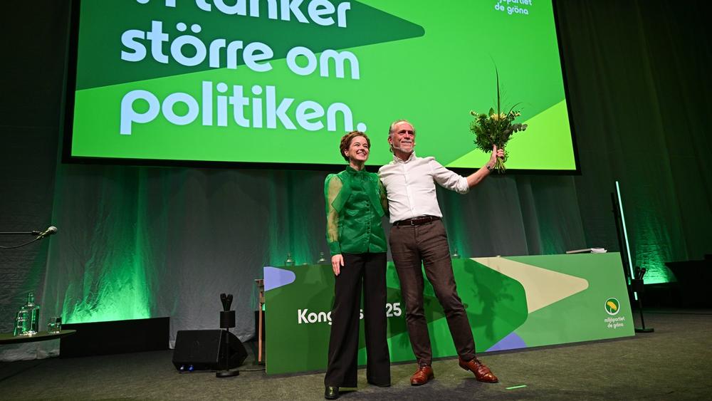 Plötsligt skymtade jag ett annat Miljöparti