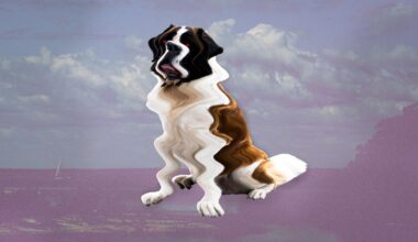 Teodor Stig-Matz: Här är versionen av Saltkråkan Sverige förtjänar - ETC.se