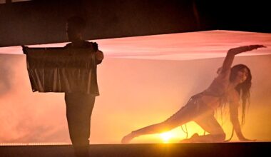 Forskare som störde Loreen: Jag hotas med utvisning