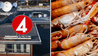 ”Sveriges mästerkock” anmäls för kräfthantering - Omni