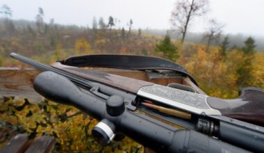 Skjuten man skulle mata djur – kan ha träffats av jägare