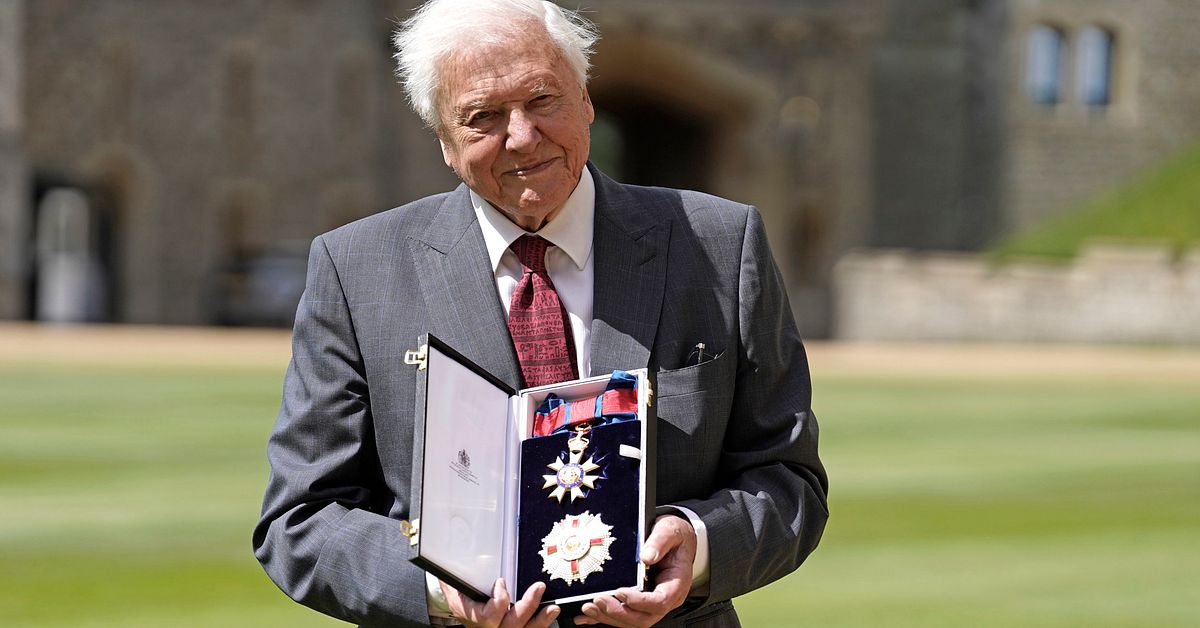 David Attenborough vinner Emmy – äldst någonsin