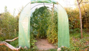 Alkohol är farligare än cannabis