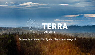 Roine och Patrik släpper kursplattformen Terra online