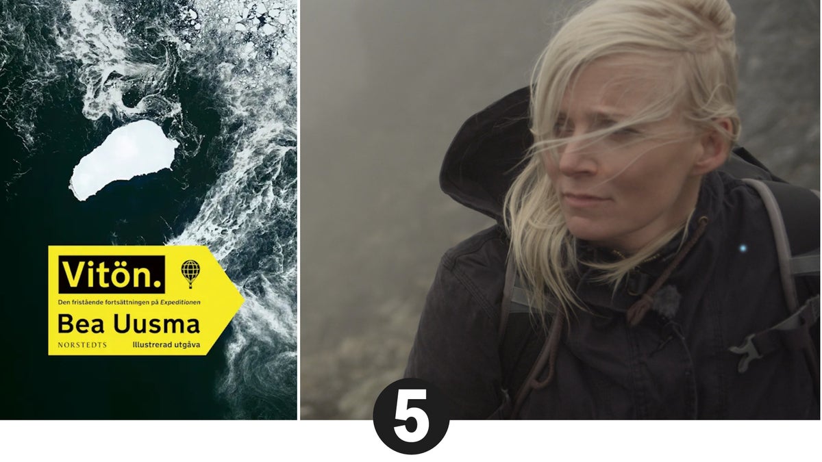 Bea Uusmas uppföljare tränger längre in i gåtan med de svenska polarfararna – Ystads Allehanda