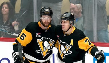 Supporter svårt skadad efter fall på NHL-läktare