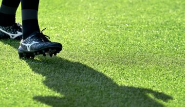 Svensk fotbollsagent gripen av österrikisk polis