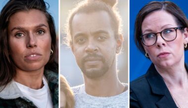 Fängslade svenskarna till attack mot Malmer Stenergard: ”Ren lögn”