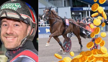 Analys, spikar, skrällar och system • Jackpott 85 miljoner