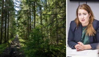 Emma Wiesner kommenterar stoppet av skogsövervakning