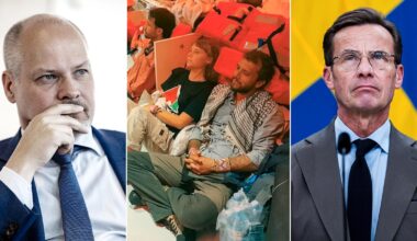 Morgan Johansson kräver utredning av regeringens Greta-hantering
