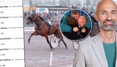 V85 – Micke Nybrink om V85-spelet: ”Spika de som vinner”
