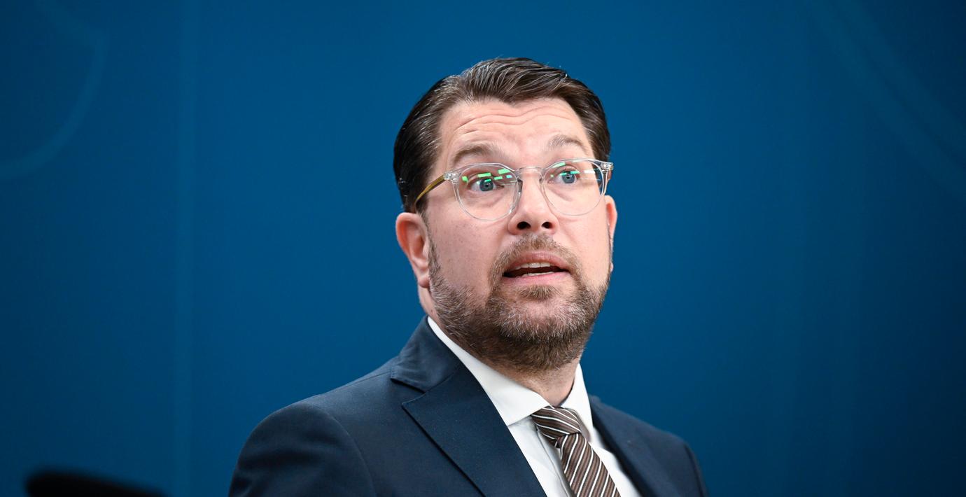 SD-ledaren öppnar för att hänga ut sexualbrottslingar
