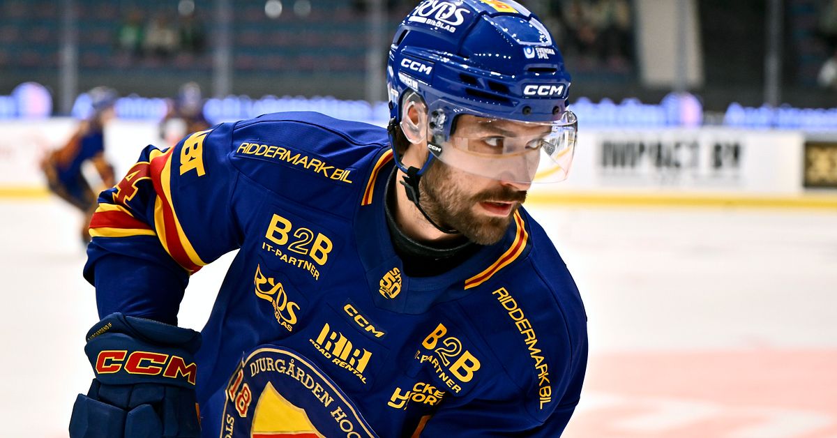 Ishockey: Timrås klubbchef lämnar – hon ersätter – Senaste nytt: SHL - SVT Nyheter