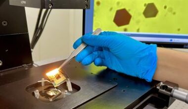 Plattform av guld avslöjar krafterna i naturens osynliga klister