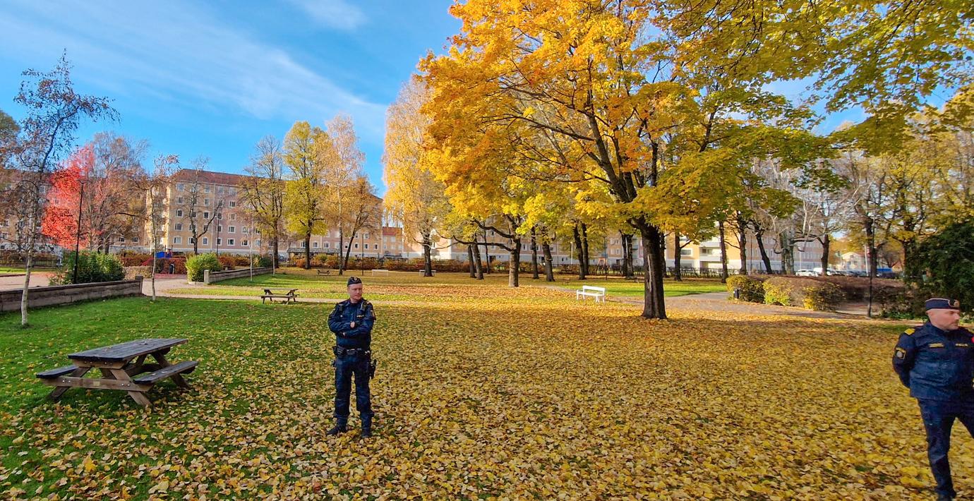 ”Hur kan ett samhälle misslyckas så?”