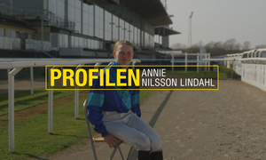 Skärmbild 2025-10-17 093118