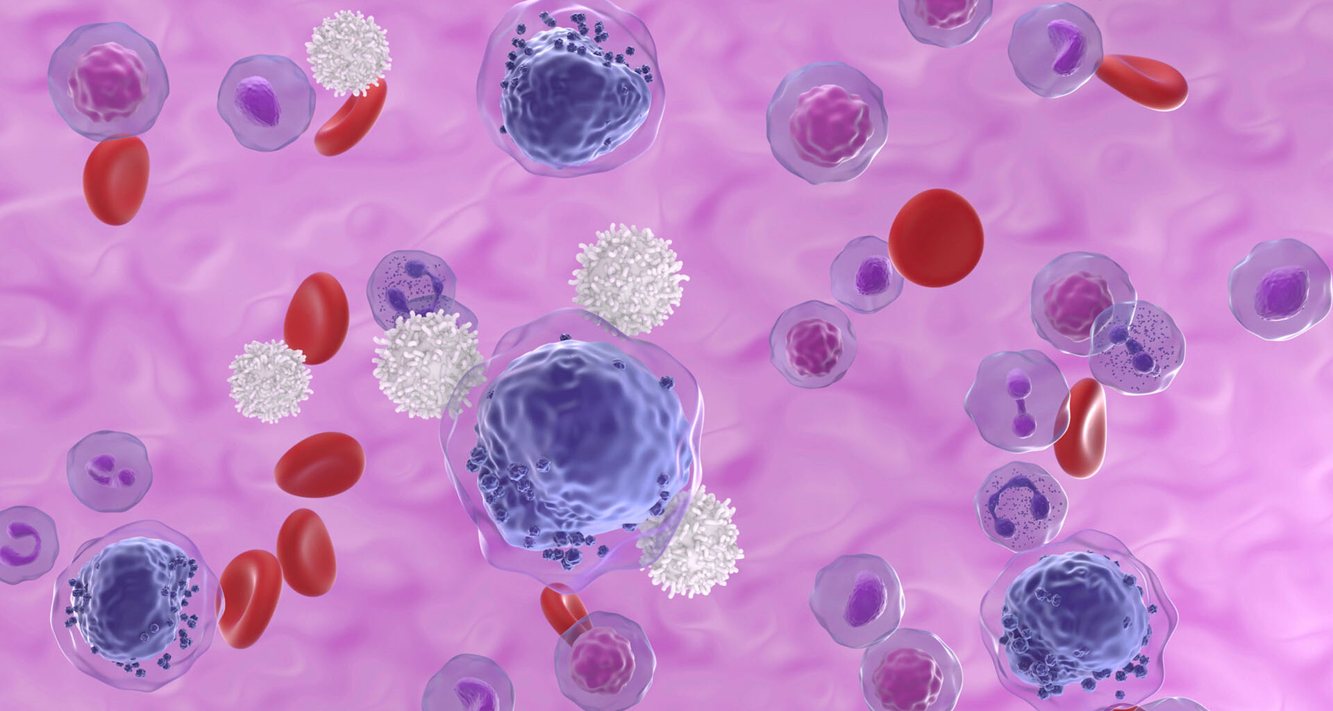 Celler i blodbanan. t-celler omringar stora cancerceller.