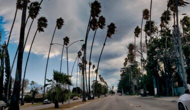 LA-svensk erkänner ekobrott – kan få tio års fängelse