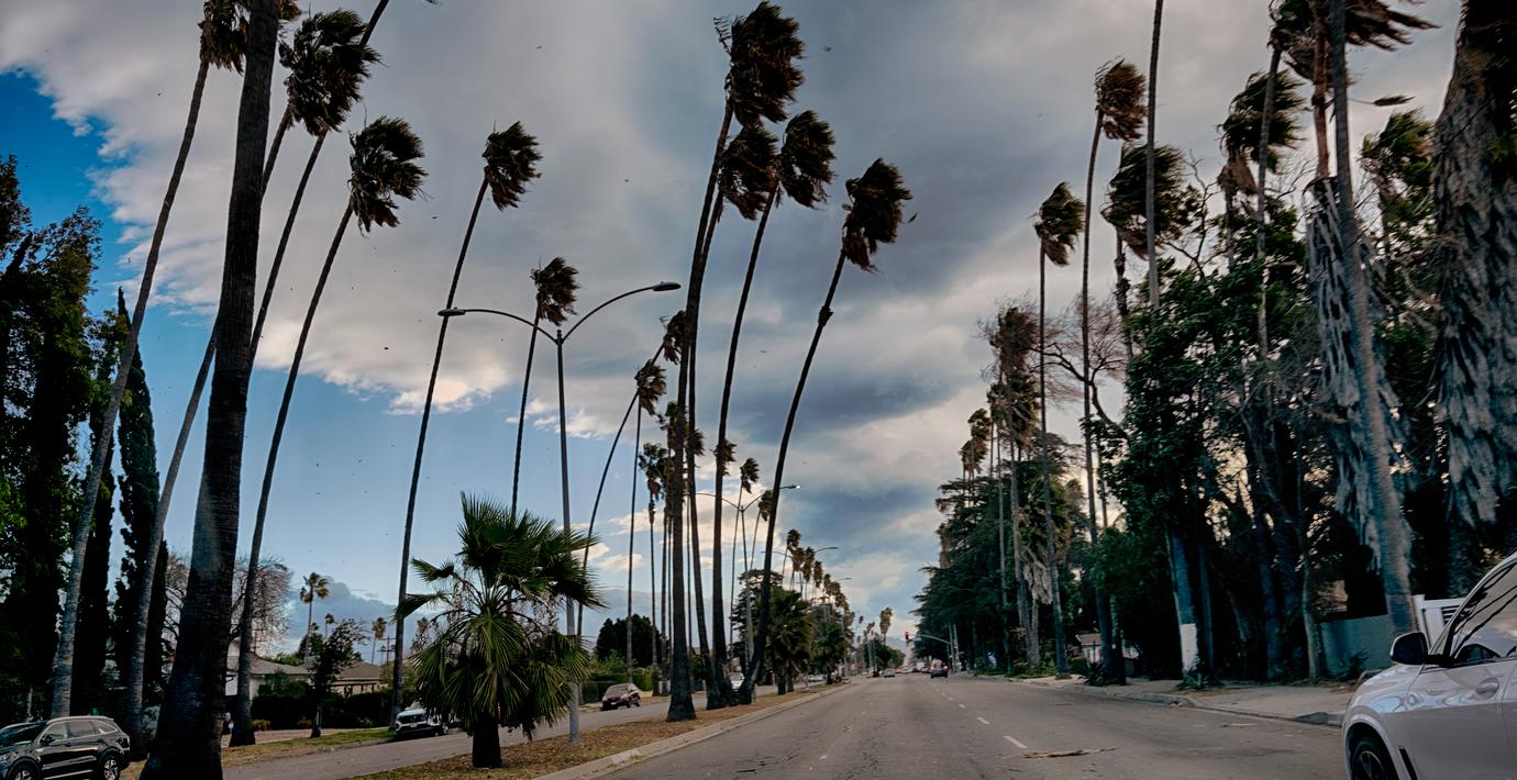 LA-svensk erkänner ekobrott – kan få tio års fängelse