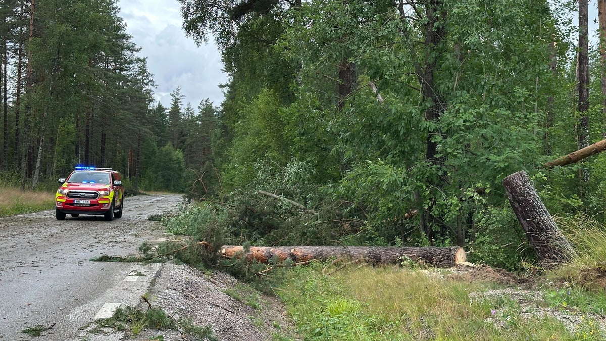 Träd ställde till det i trafiken – Falu-Kuriren