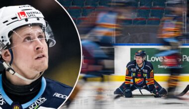 Fast i frysboxen – söker en lösning: "Almtuna vore perfekt" - UNT