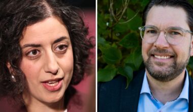 Liberalerna: Inget SD i regeringen – och nej till vinster i skolan