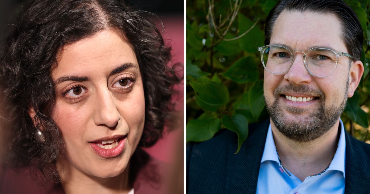 Liberalerna: Inget SD i regeringen – och nej till vinster i skolan