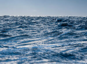 Sverige säger nej till fiskekvoterna för Östersjön – Örebronyheter