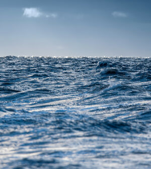 Sverige säger nej till fiskekvoterna för Östersjön – Örebronyheter