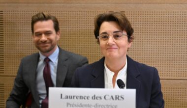 Louvren-chefen grillas i senaten efter rånet