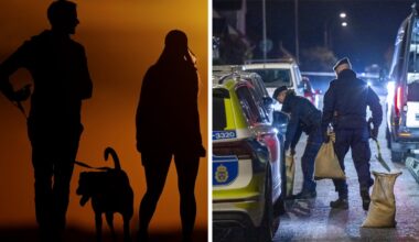 Efter handgranatsfyndet i Eslöv – polisen söker par med hund - Skånska Dagbladet