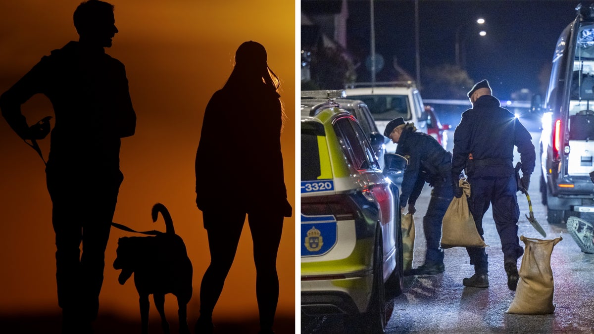 Efter handgranatsfyndet i Eslöv – polisen söker par med hund - Skånska Dagbladet
