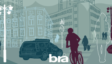 Flickor och kvinnor i kriminella nätverk | Brå