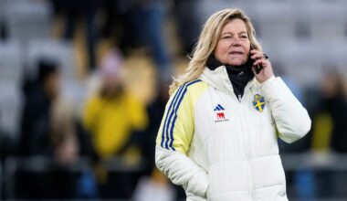 Domanski slutar som landslagschef – han tar över