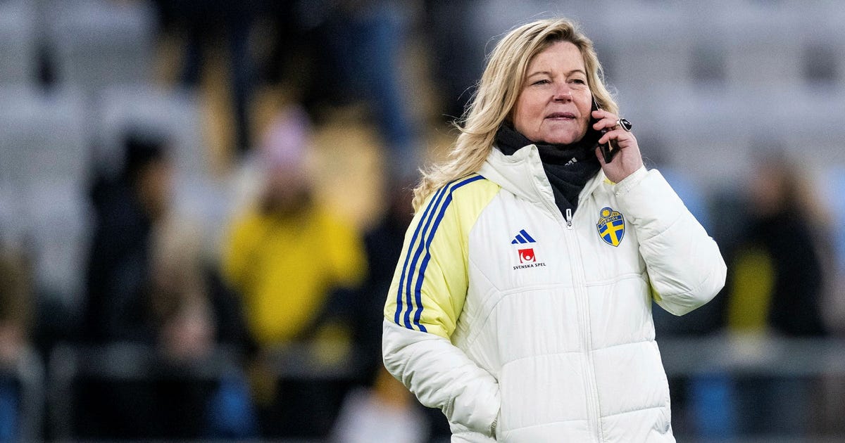Domanski slutar som landslagschef – han tar över