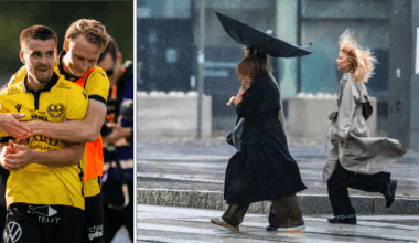 Domaren ger grönt ljus för Mjällbys guldmatch