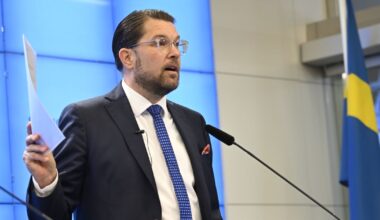SD vill ha folkomröstning om grundlagsändring