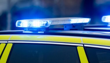 Demonstranter gripna – blockerade ingången till UD