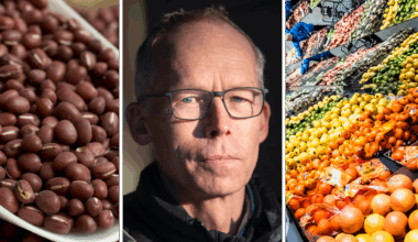 Mer bönor kan rädda 40 000 liv varje dag