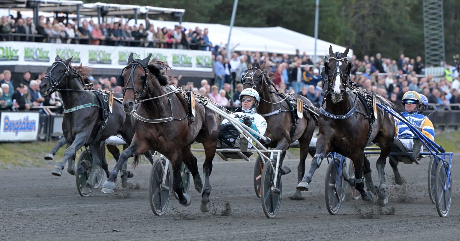 Foto: EMIL PERSSON/TR BILD