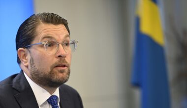 Jimmie Åkesson (SD): Pedofiler bör brännmärkas för livet