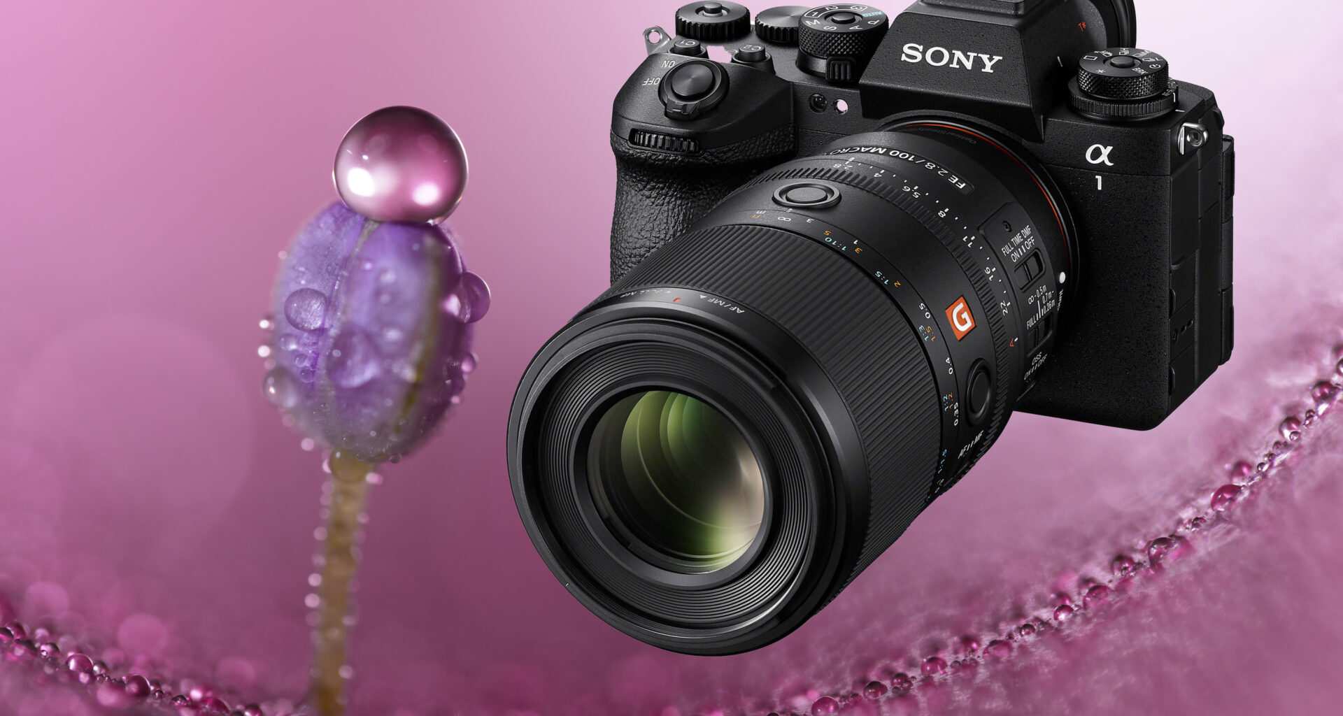 Sony FE 100 mm f/2,8 Macro GM OSS – upp till 2,8 gångers förstoring