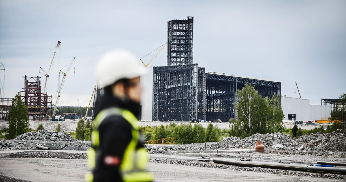 Kris för Stegra – men i politiken fortsätter önsketänkandet. | Peter Wennblad