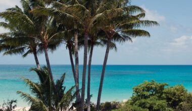 Dottern till kvarglömda kvinnan: Mamma dog ensam