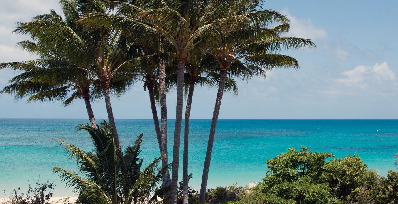 Dottern till kvarglömda kvinnan: Mamma dog ensam