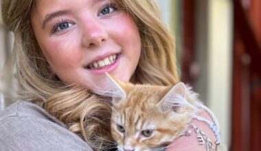 Kampen är över – Ljusdals-Posten