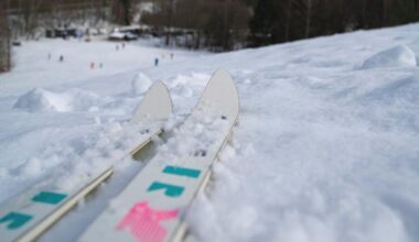 Sveriges sydligaste skidbacke har stängts ner