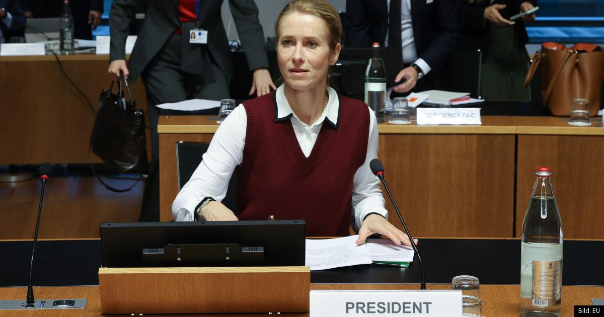 EU sluter upp bakom Ukraina efter stormigt Trump-möte